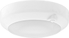 Ceiling and Wall Lights