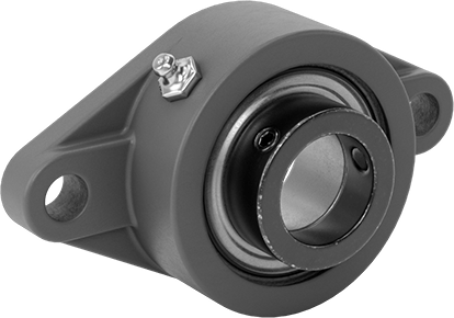 Image of Product. Front orientation. Mounted Ball Bearing with Two-Bolt Flange, Cast Iron Housing, Eccentric Lock, for 1-3/16" Shaft.