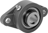 Mounted Bearings
