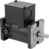 Electric Motors