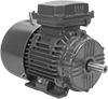 Base-Mount AC Motors