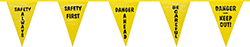 Image of Product. Front orientation. Pennants. Solid with Message.