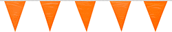 Image of Product. Front orientation. Pennants. Solid.