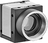 Machine Vision Cameras