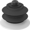 Vacuum Cups