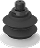 Vacuum Cups