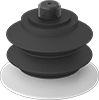 Vacuum Cups