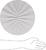 Filter Paper