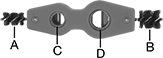 Image of Product. Front orientation. Contains Annotated. Tube Brushes. Internal and External Tube Brushes.