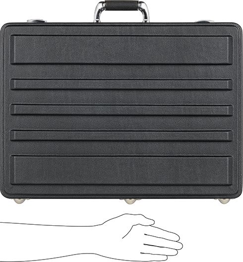 Image of Product. Side1 orientation. Contains SizingReference. Plastic Protective Storage Case with Foam, Keyed, 22-1/2" Width, 16-1/2" Depth, 7-3/4" Height.