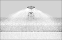 Image of ProductInUse. Up. Front orientation. Contains Border. Fire Sprinkler Heads. Quick-Response Fire Sprinkler Heads, Up.