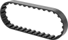 Timing Belts