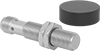 Magnetic Switches