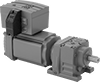 Electric Gearmotors