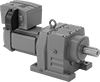 Electric Gearmotors