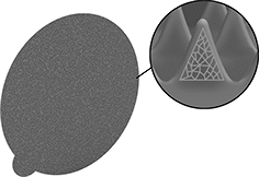 Image of Product. Precision-Shaped Ceramic Alumina. Front orientation. Contains Inset. Sanding Discs. Fast-Cutting Adhesive-Back Sanding Discs.
