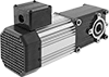 Electric Gearmotors