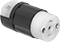 Socket