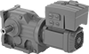 Electric Gearmotors