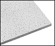 Image of Product. Front orientation. Contains Border. Ceiling Tiles. Wet-Location Ceiling Tiles.