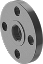 Image of Product. Raised Surface on Back. Back orientation. Pipe and Fittings. High-Pressure Iron and Steel Threaded Pipe Flanges, Flanges, Flanged Fitting Connection, Threaded Fitting Connection, Female, Raised Surface.