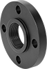 Low-Pressure Iron and Steel Threaded Pipe Flanges
