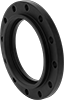 Low-Pressure Iron and Steel Unthreaded Pipe Flanges