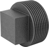 FM-Approved Low-Pressure Iron and Steel Threaded Pipe Fittings