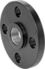 FM-Approved Low-Pressure Iron and Steel Threaded Pipe Flanges