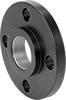 FM-Approved Low-Pressure Iron and Steel Threaded Pipe Flanges