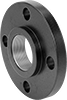 FM-Approved Low-Pressure Iron and Steel Threaded Pipe Flanges