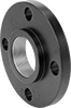 FM-Approved Low-Pressure Iron and Steel Threaded Pipe Flanges