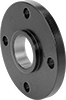 FM-Approved Low-Pressure Cast Iron Threaded Pipe Flanges