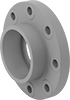 CPVC Pipe Flanges for Chemicals