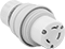 Socket
