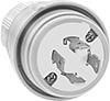 Electrical Plugs