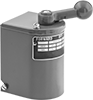 Motor Switches