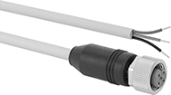 Image of Product. M12 Socket × Wire Leads. Front orientation. Metric Circular Cords. M12 Cords for Intrinsically Safe Devices, M12 Socket × Wire Leads.