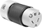 Socket