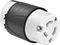 Socket