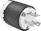 Plug