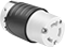 Socket