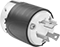 Plug