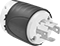 Plug