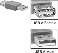 Image of Product. Front orientation. Contains Inset. USB Connectors. USB Adapters, Straight USB-A Female × USB-A Male.