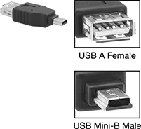 Image of Product. Front orientation. Contains Inset. USB Connectors. USB Adapters, Straight USB-A Female × Mini USB-B Male.