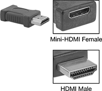 Image of Product. Front orientation. Contains Annotated, MultipleImages. HDMI Connectors. HDMI Connectors, Straight Male Standard HDMI × Female Mini HDMI.