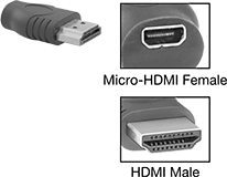 Image of Product. Front orientation. Contains Inset. HDMI Connectors. HDMI Connectors, Straight Male Standard HDMI × Female Micro HDMI.