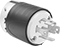 Plug