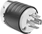 Plug